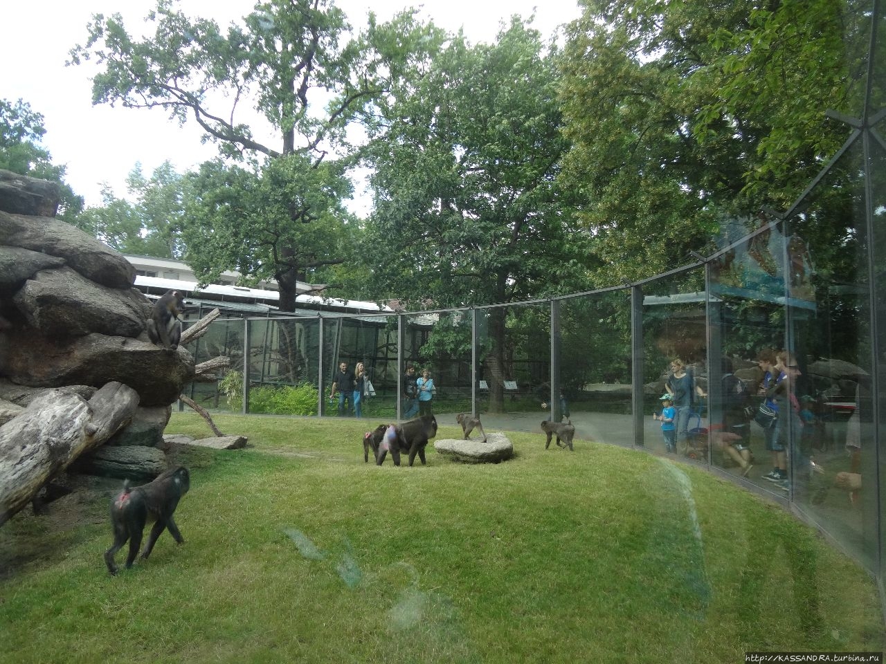 Берлинский зоопарк Берлин, Германия Берлинский зоопарк Берлин, Германия