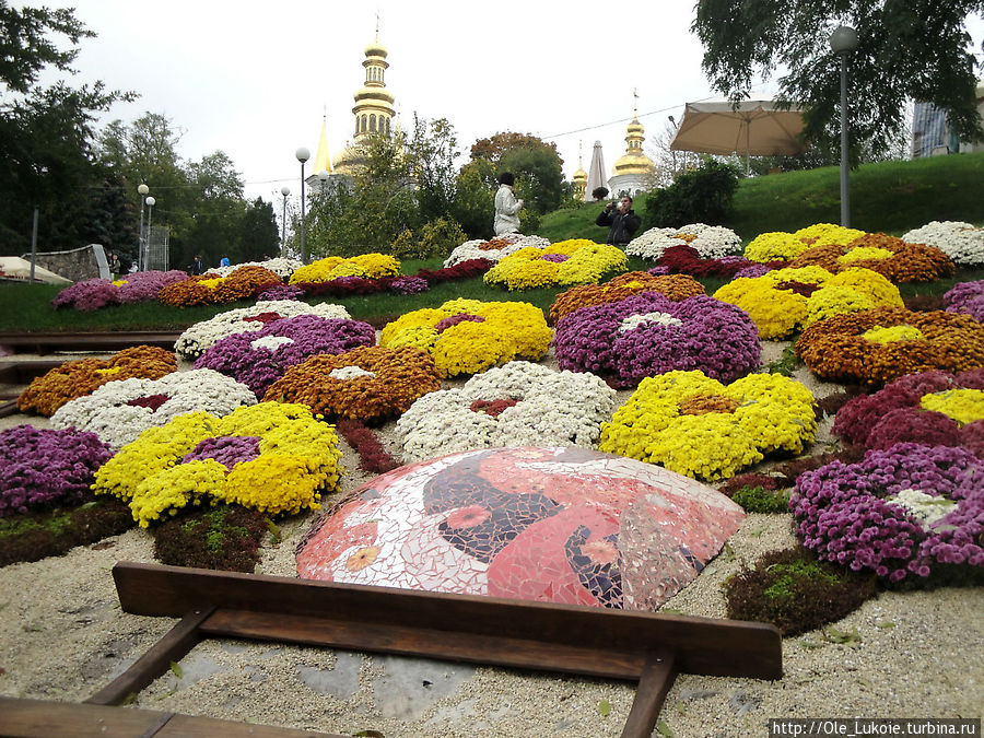 Бал хризантем в Киеве...октябрь 2012 Киев, Украина