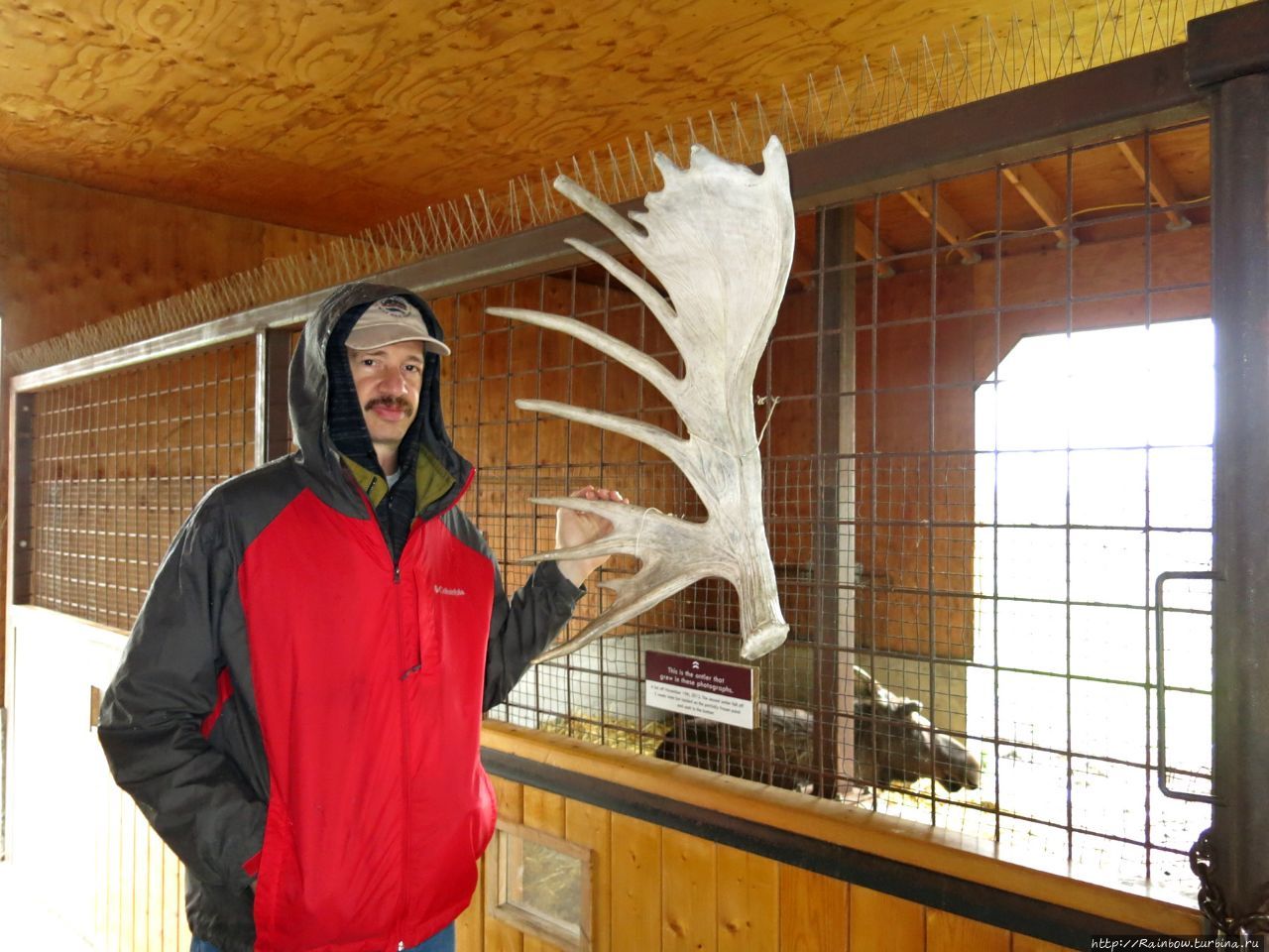 Центр охраны животных Аляски Анкоридж, CША