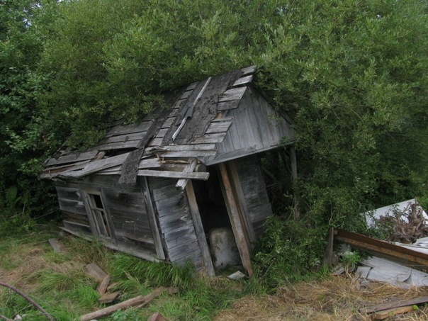 Заброшенные садовые домики Сланцы, Россия