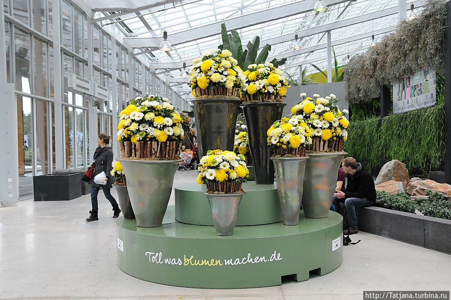 Выставка цветов в Голландии 