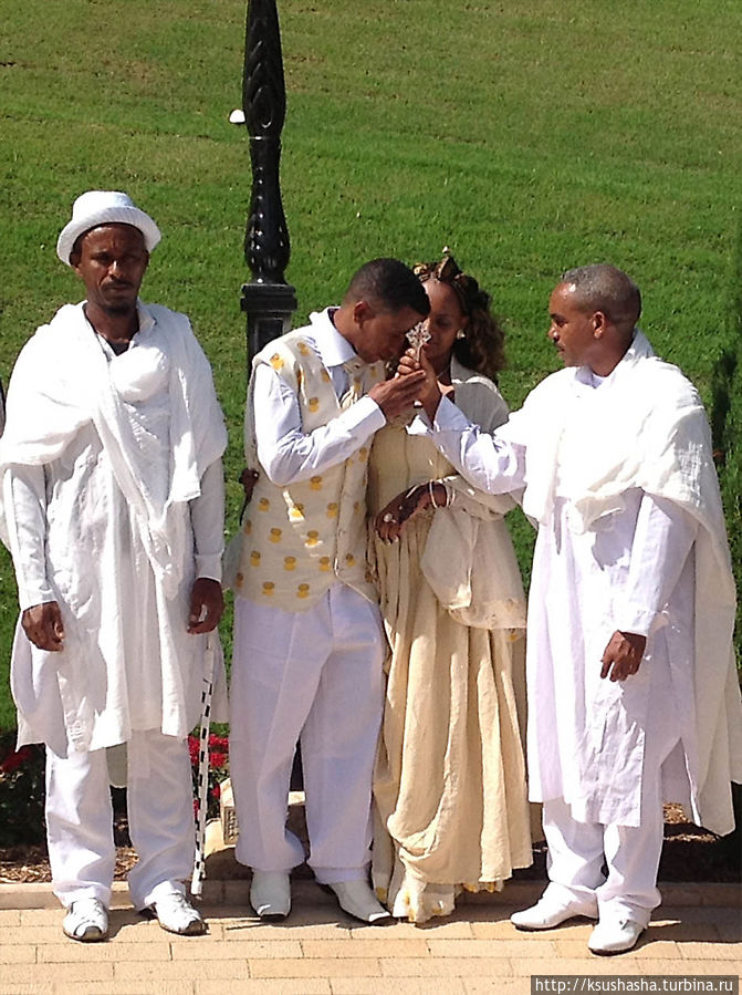 Ах, эта свадьба, свадьба, свадьба