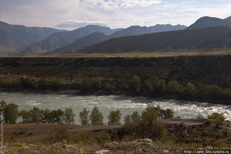 Река Катунь с Яломанского городища. Катунские террасы. Республика Алтай, Россия