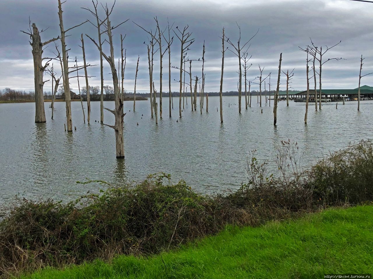 Водохранилище Поверти Поинт / Poverty Point Reservoir