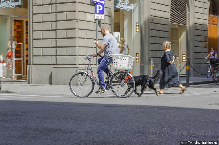 Утро Флоренции Флоренция, Италия