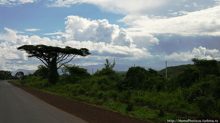 По дороге в Арба-Мынч Арба-Минч, Эфиопия