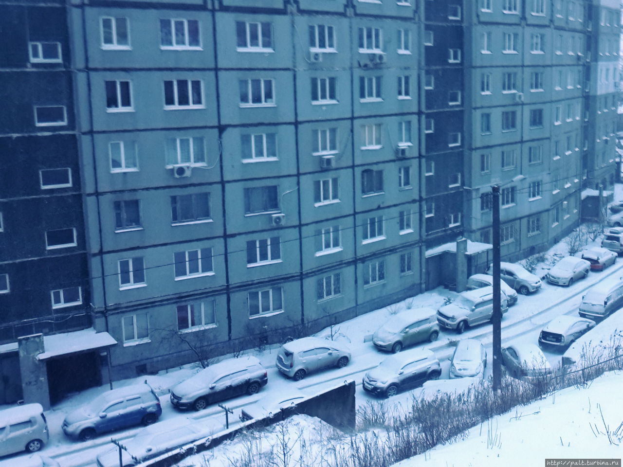 Чуть запоздавшая первоапрельская шутка Владивосток, Россия