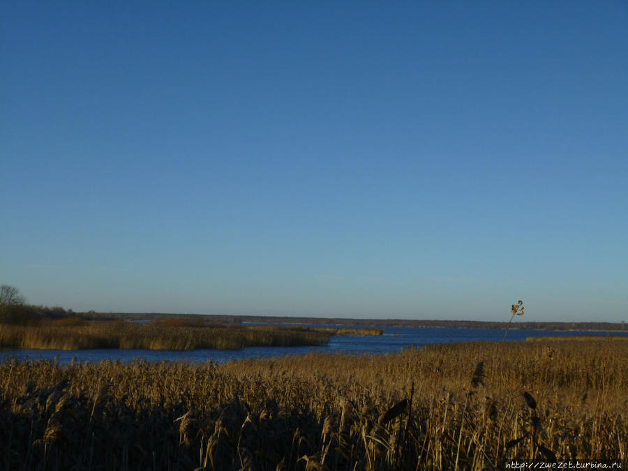 Я этим городом храним. Приморская окраина Санкт-Петербург, Россия