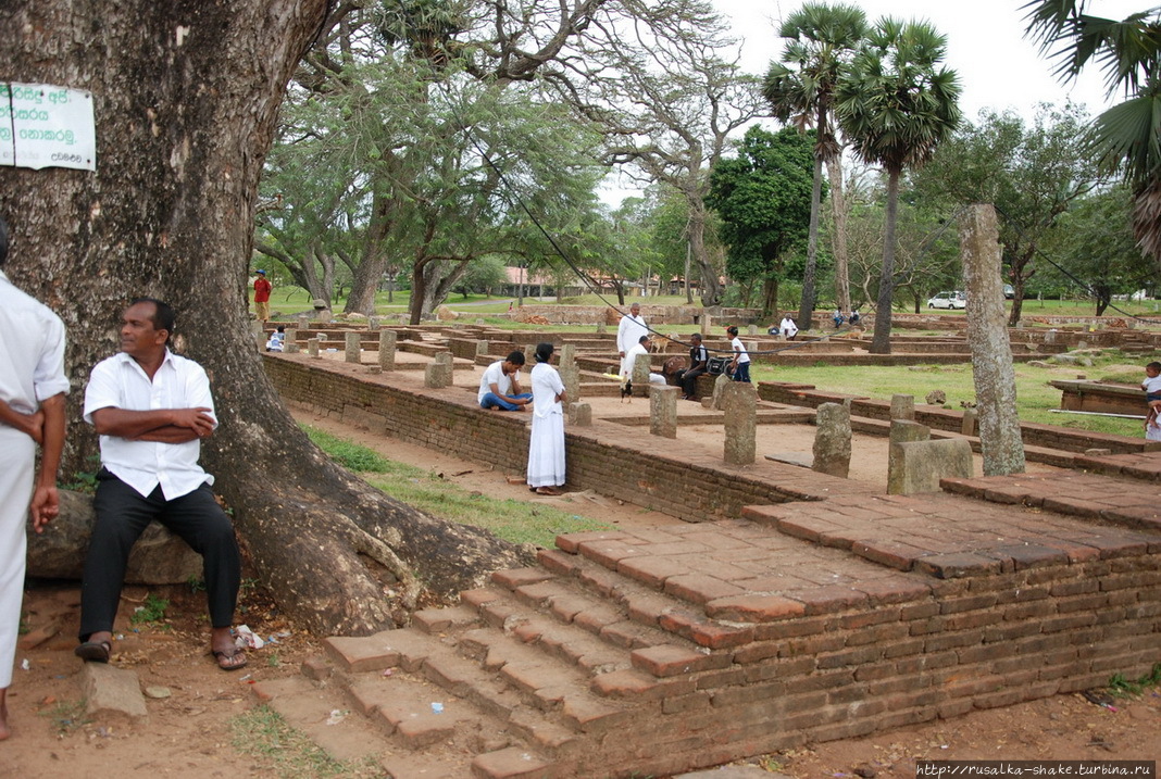 Праздник у Руанвелиссии Анурадхапура, Шри-Ланка