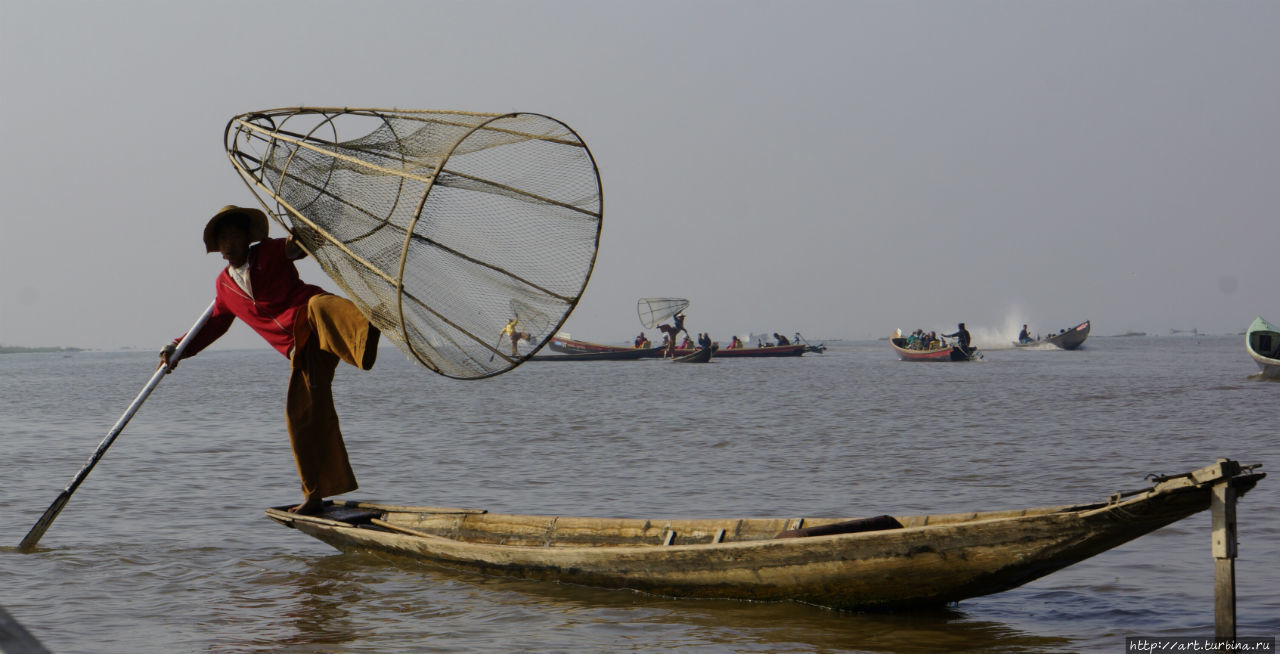 Некоторые приноровились позировать для туристов и зарабатывать небольшую денежку. Озеро Инле, Мьянма