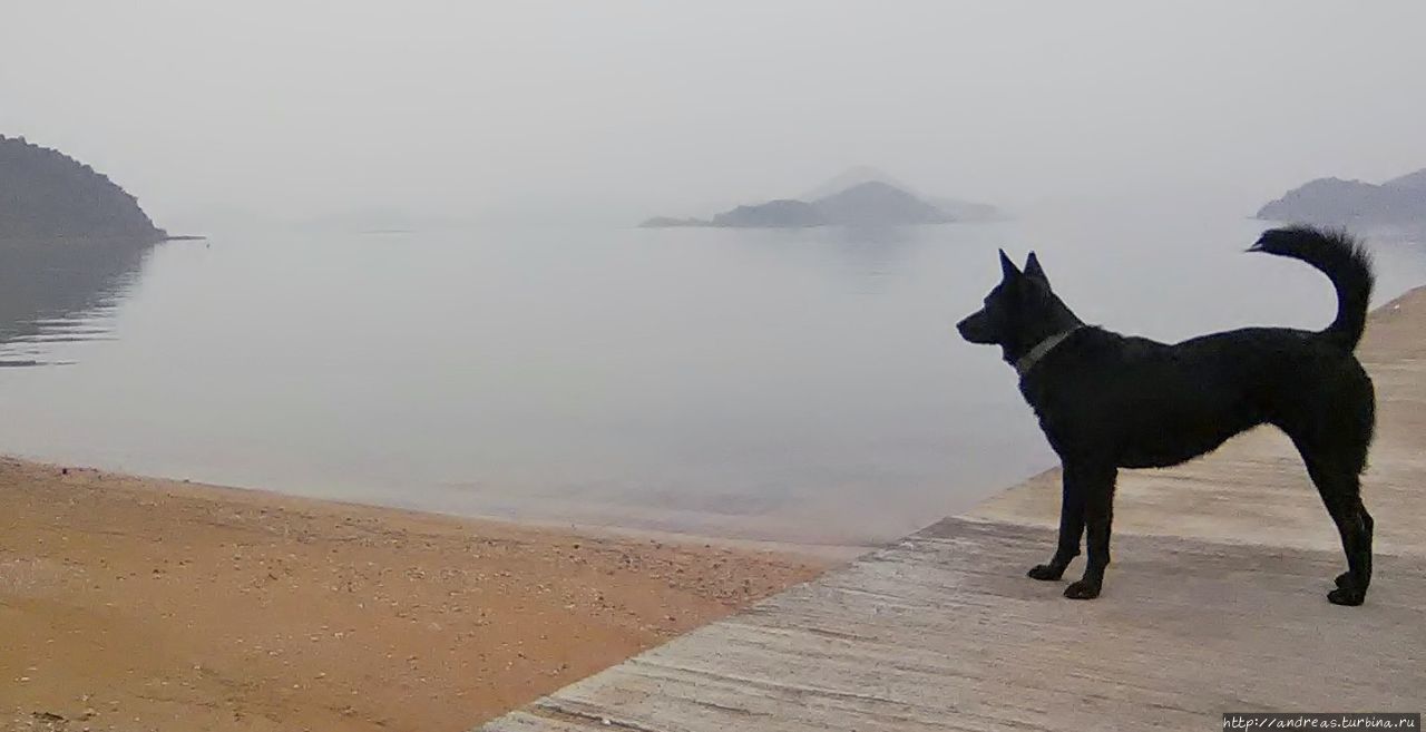 Жизнь в гонконгской деревне Гонконг Жизнь в гонконгской деревне Гонконг