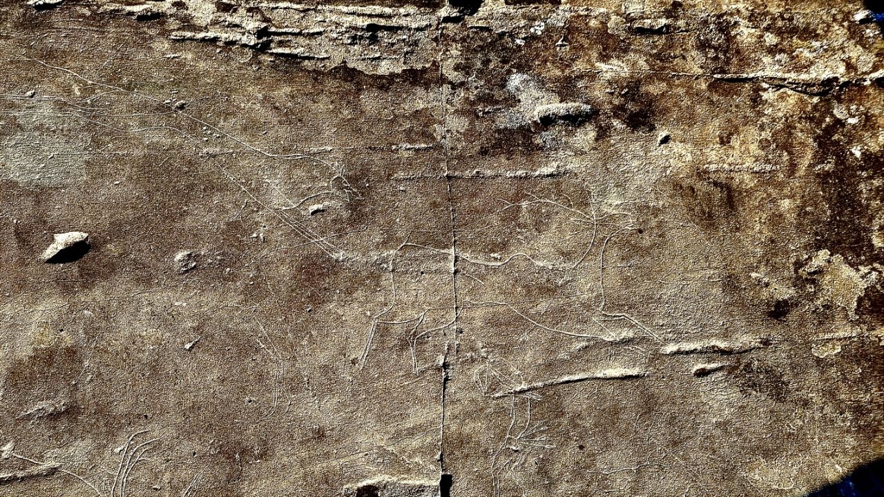 Фрагмент петроглифа 