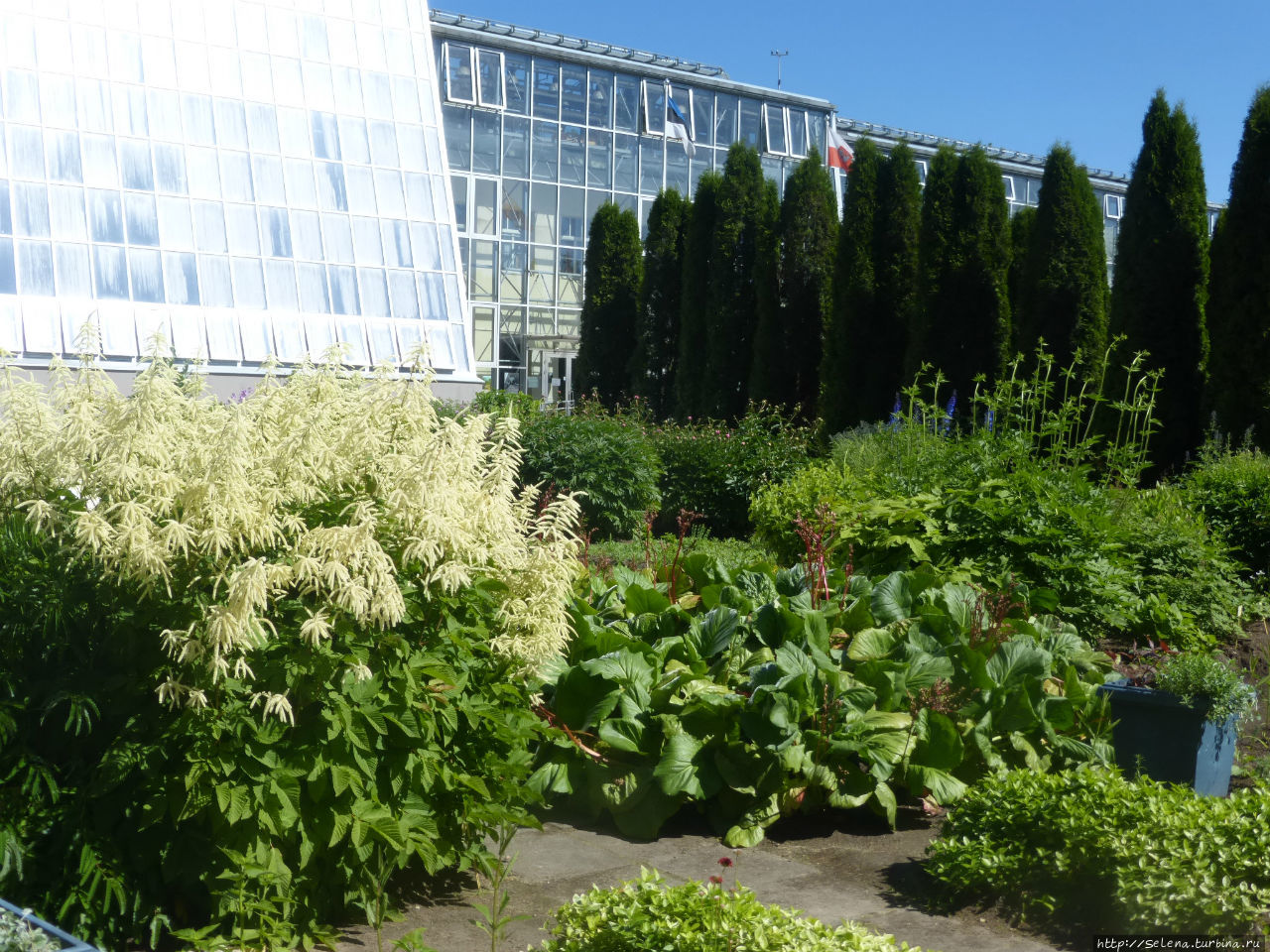 Ботанический сад Тартуского университета / Botanical garden of Tartu University