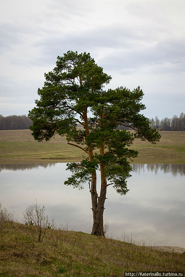 Арх-ферма — там, где встречается интеллект и природа Тульская область, Россия