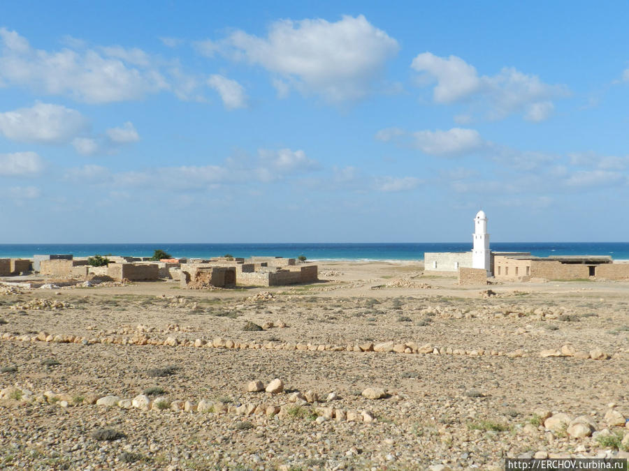 Удивительная Сокотра. Ч-6. На пляж в Калансию Остров Сокотра, Йемен