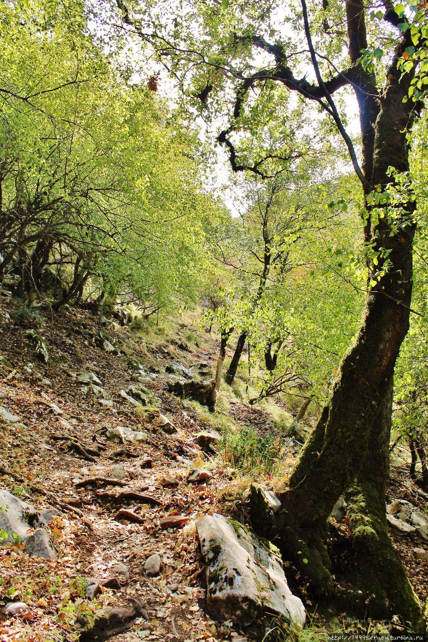 Моё покорение Врмац #6 / Горньи Столив / Затерянный в горах Горньи-Столив, Черногория