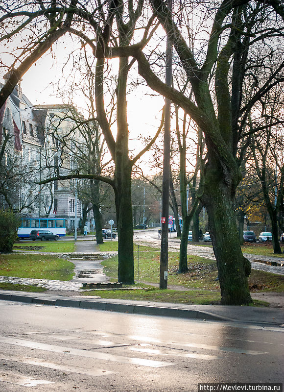 Красивая осень, красивый рассвет над Ригой Рига, Латвия