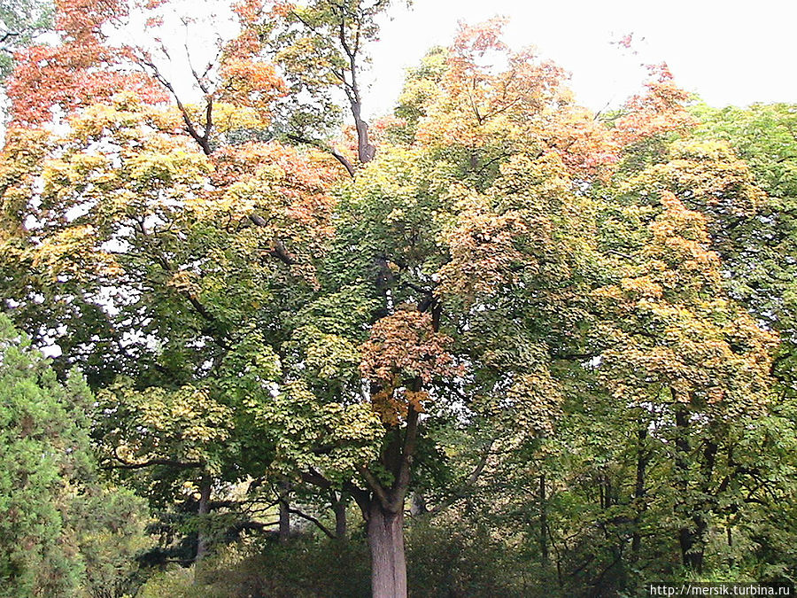 Парк Лазенки Варшава, Польша