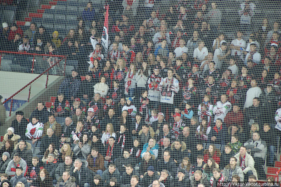 Авангард сильнее Льва Омск, Россия