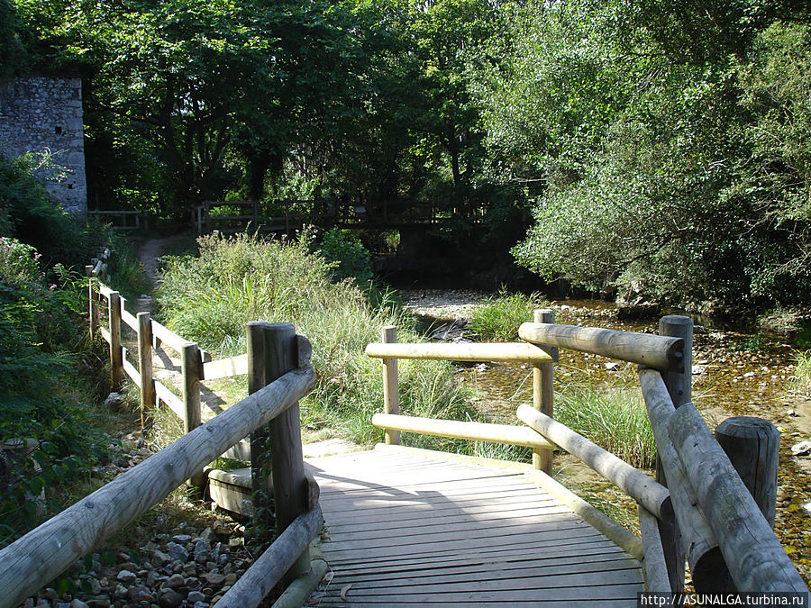 в Астурии круглый год, даже зимой, зеленеет трава
