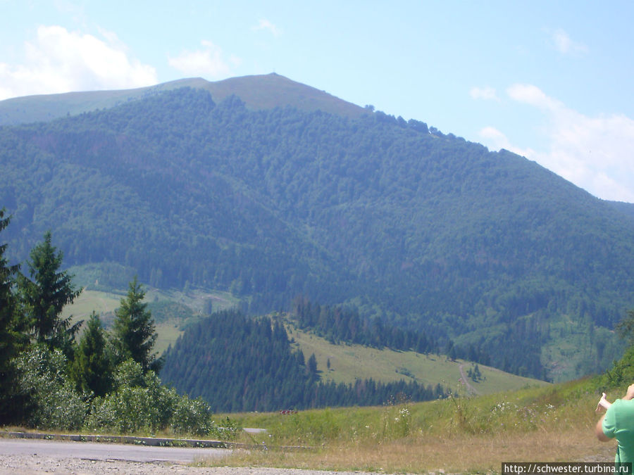 Дымчато-синие горы.  Лысинка на верхушке — зона альпийских лугов Закарпатская область, Украина
