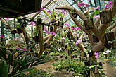Оранжерея ботанического сада.