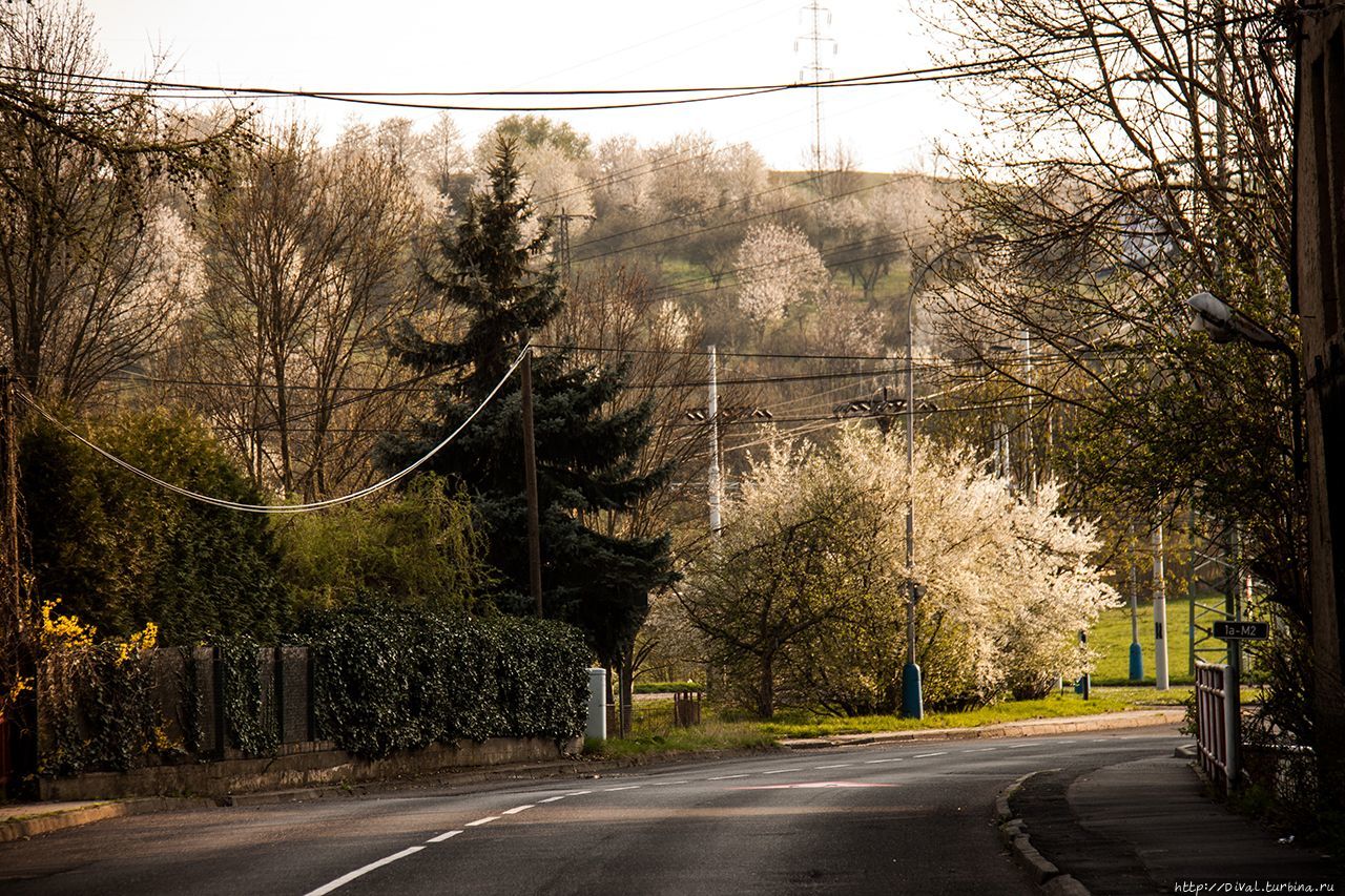 Солнца теплая купель — апрель Теплице, Чехия