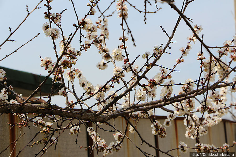 Хроники весны, день двадцатый Харьковская область, Украина