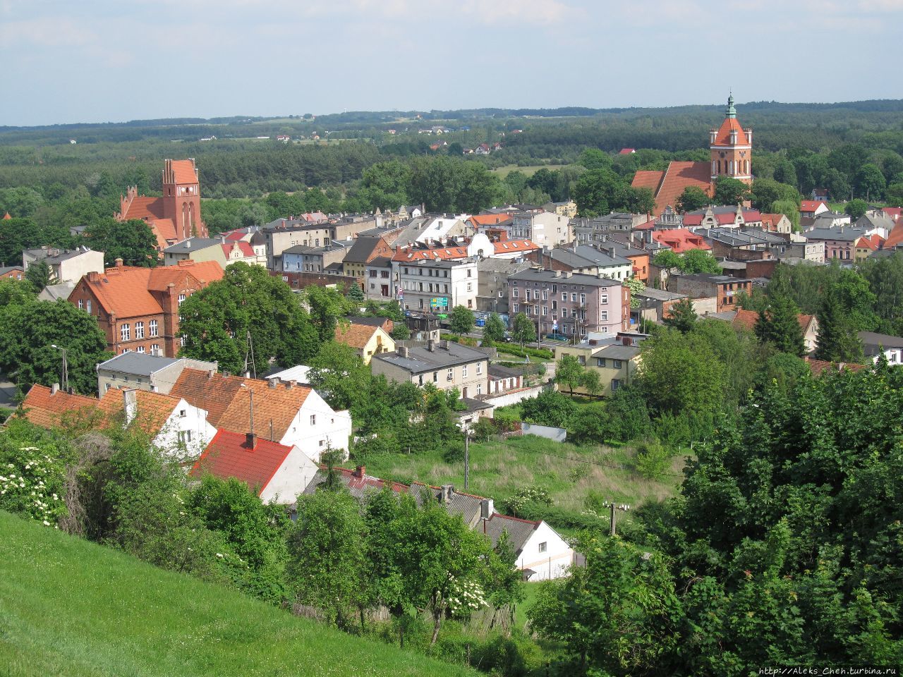 Вид на город с замковой горы Голюб-Добжинь, Польша