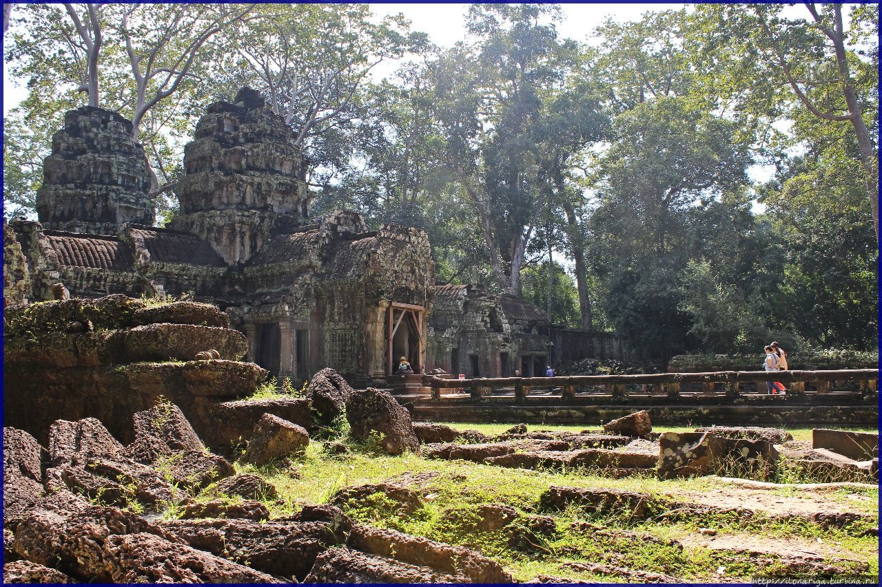 Та Пром — храм посреди джунглей Ангкор (столица государства кхмеров), Камбоджа