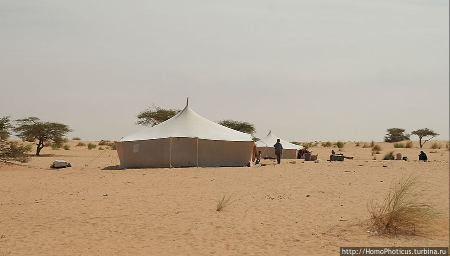 Жизнь в пустыне Шингетти, Мавритания