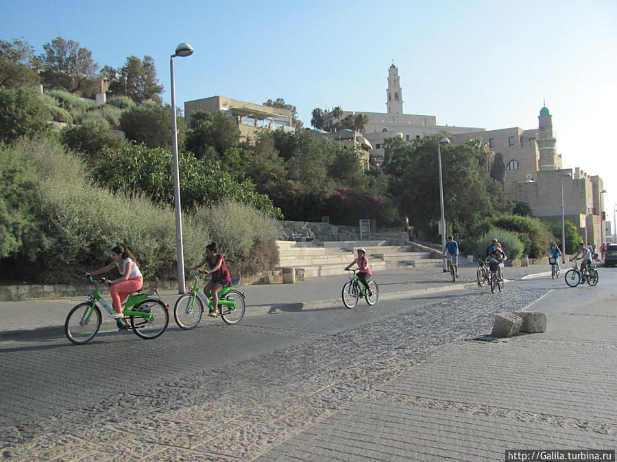 Велосипедная прогулка. Яффо, Израиль