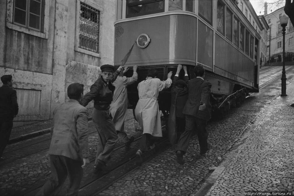 Из интернета