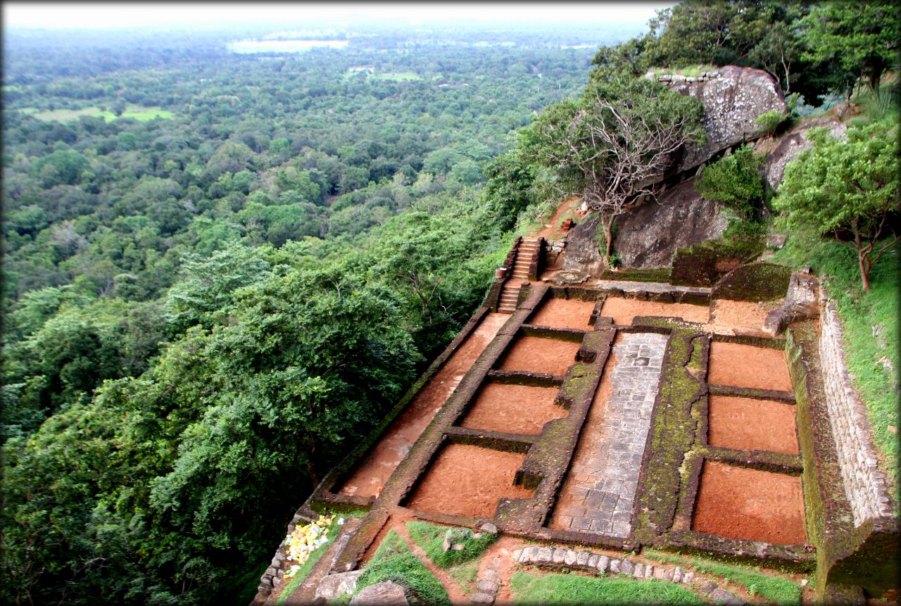 На вершине Цейлона или загадочная Сигирия Сигирия, Шри-Ланка