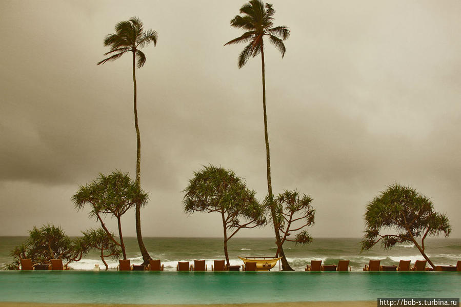 Шри — Ланка. Райский островок. Шри-Ланка
