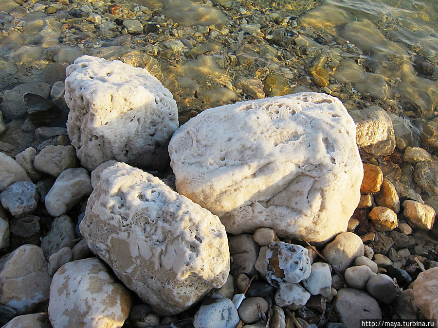 Где мое ваше море?