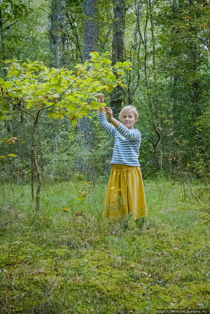 Остров Буллю Рига, Латвия