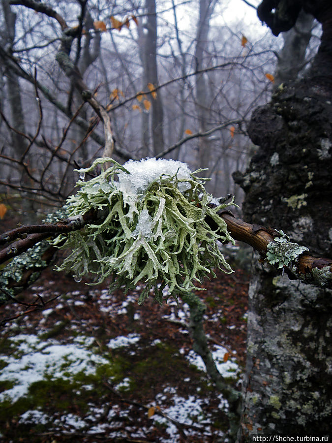 местами на высотах лежал свежевыпавший снег