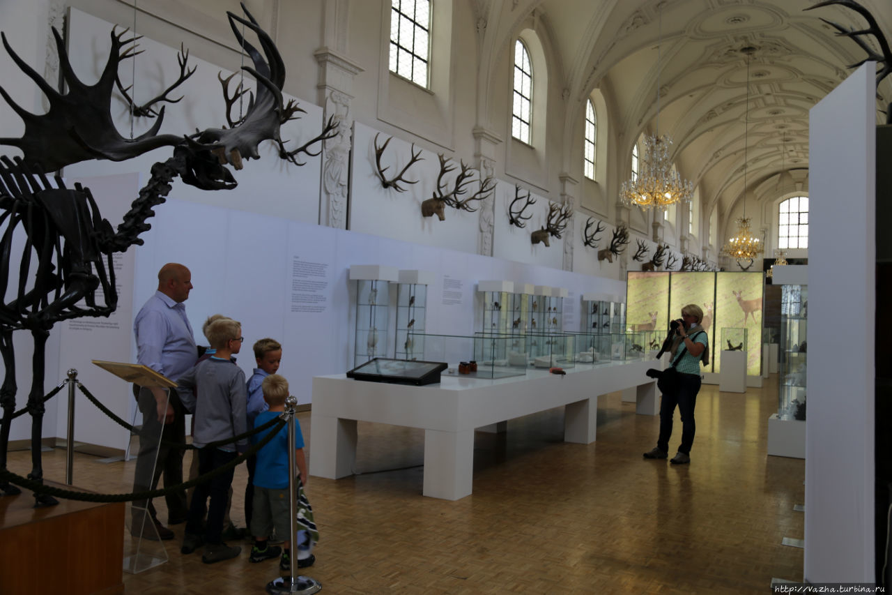 Музей охоты и рыболовства в Мюнхене Мюнхен, Германия