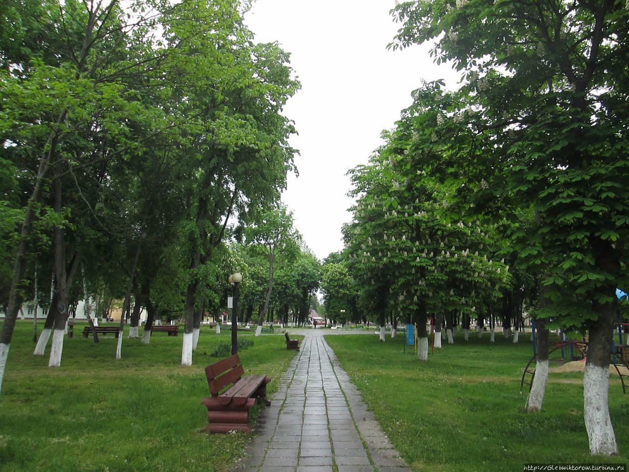 Поездка в Ветку Ветка, Беларусь