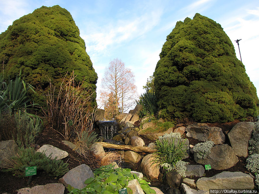 Горка-каменистый сад.
