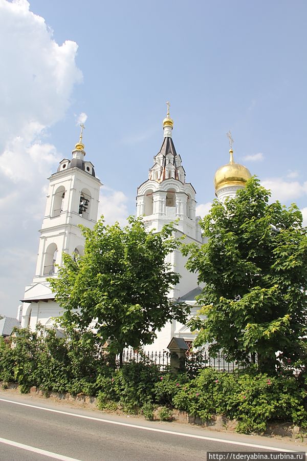 Подмосковье в первый день лета Москва и Московская область, Россия