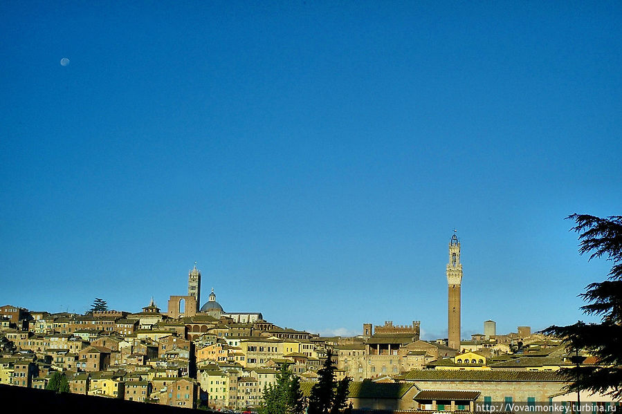 Вид от базилики Дей Серви