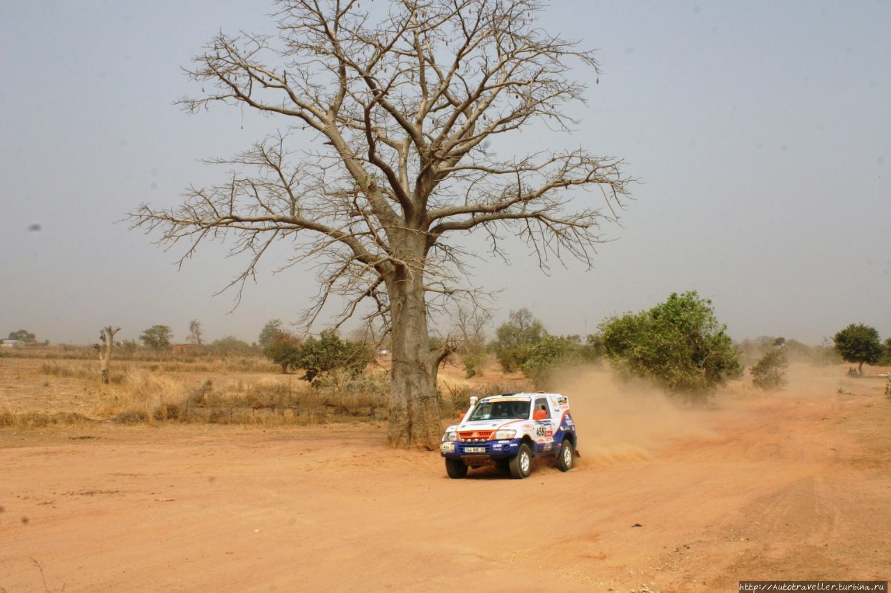 ПРОДАЮ МОЗГИ. Часть 1. ПРОДАЮ МОЗГИ. Часть 1.