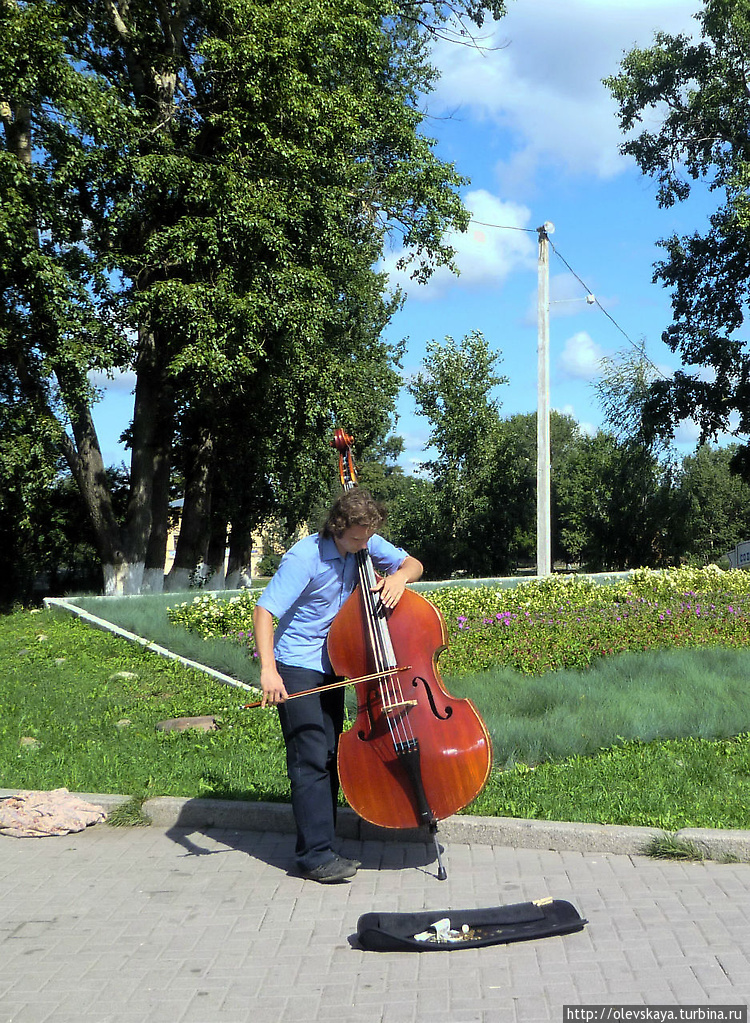 Жизнь брала под крыло,
Б