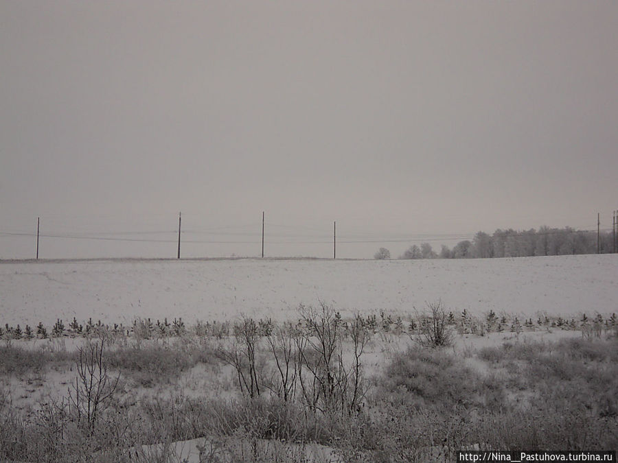 В  зимней  сказке