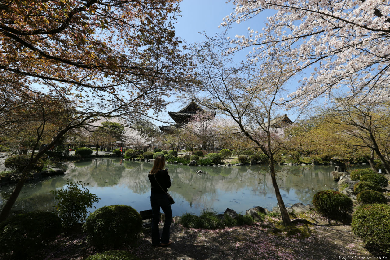 Парк храмового комплекса Киото, Япония