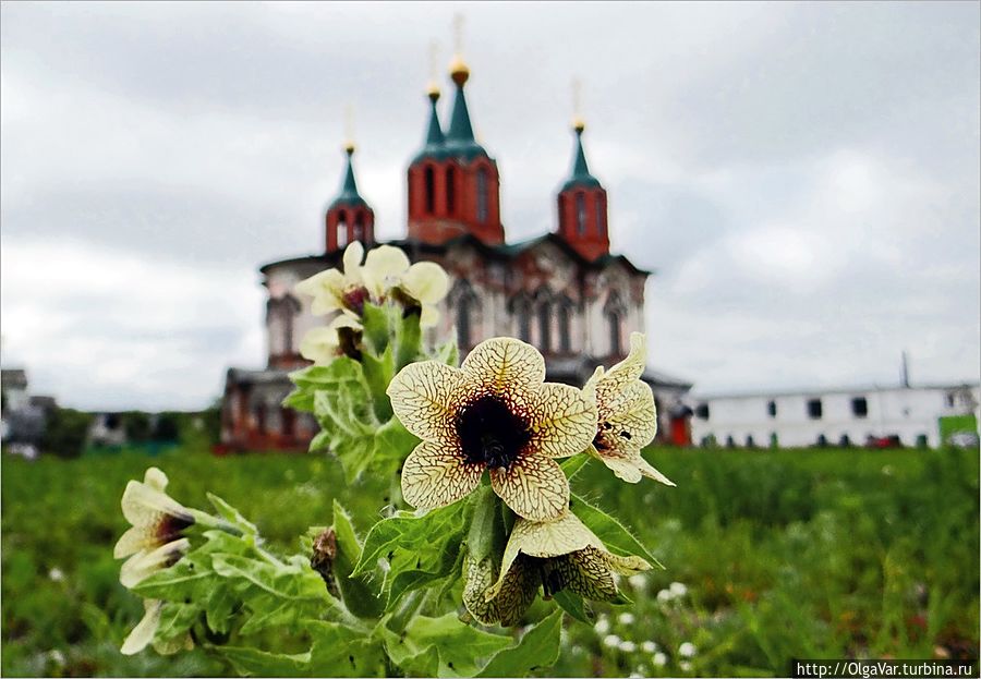 Далматовский монастырь Далматово, Россия