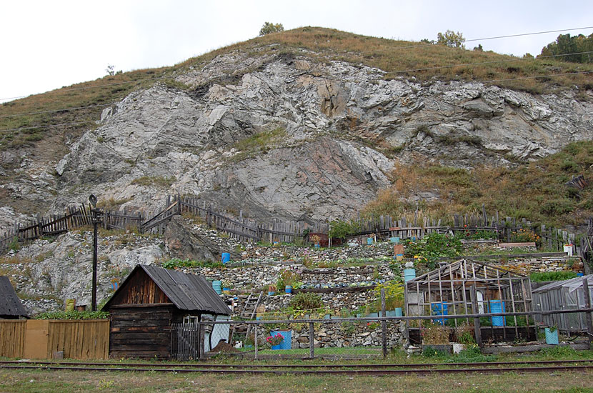 На скалах растет капуста озеро Байкал, Россия