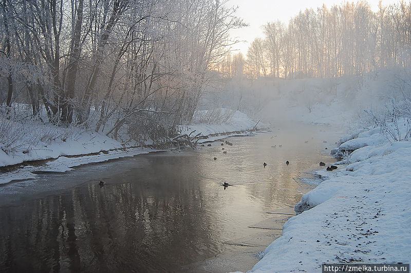 Т.к. река не замерзла, у берега трутся утки. Здесь еще находится ключ, на который жители ходят за водой, может и уток прикармливают.